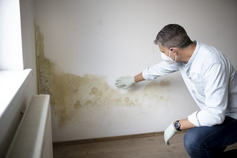 rising damp Wilmslow